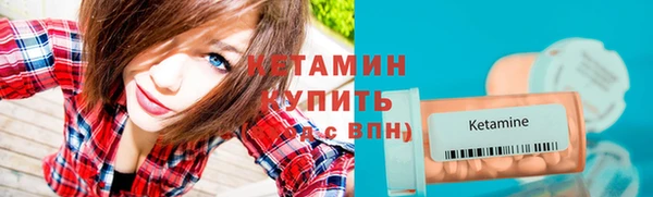 шишки Бородино