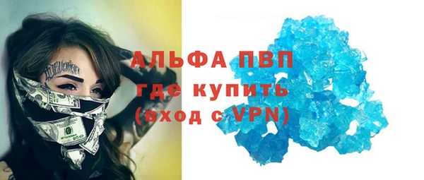шишки Бородино