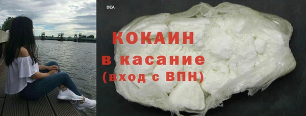 шишки Бородино