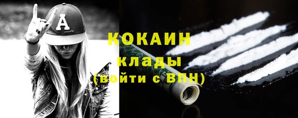 шишки Бородино