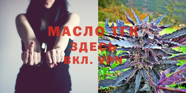 шишки Бородино