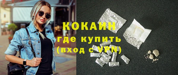 шишки Бородино