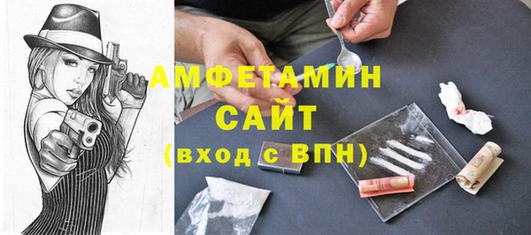 шишки Бородино