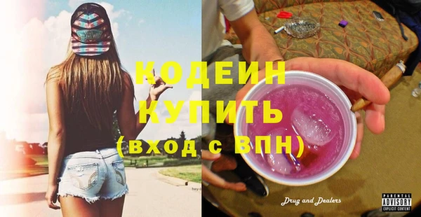шишки Бородино