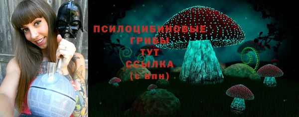СК Бугульма