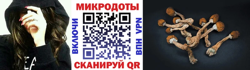 купить наркотики сайты  mega зеркало  Галлюциногенные грибы мицелий  Медвежьегорск 
